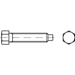  Sechskantschrauben mit Zapfen DIN 561 

 Wie...