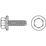 Fassadenschrauben mit Dichtscheibe 16 mm und Zapfen