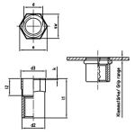 Nietmutter, Einnietmutter, kleiner Senkkopf, Teil- Sechskantschaft offen