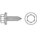 Fassadenschrauben mit Dichtscheibe 19 mm und Spitze