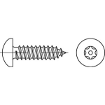 Diebstahlhemmende Flachrundkopfschrauben (~DIN 7981) ISK (~Inbus) mit Pin und Blechgewinde