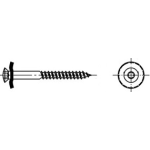 Spenglerschraube 2/3 tlg. ISR (TX 25, VE= 100) mit Dichtscheibe 15 mm und Spitze