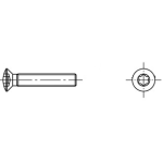 Linsensenkschrauben mit Innensechsrund (~TORX) ISO 14584