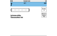 10 Stück, DIN 7 A 1 m6 Zylinderstifte, Toleranzfeld m6 - Abmessung: 16 m6 x 50