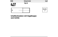 100 Stück, DIN 427 14 H Schaftschrauben mit Kegelkuppe und Schlitz - Abmessung: M 3 x 6