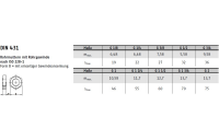 50 Stück, DIN 431 14 H Form B Rohrmuttern mit zölligem Rohrgewinde G, mit einseit. Gewindeansenkung - Abmessung: BG 1/8 SW19