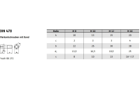 50 Stück, DIN 478 10.9 Vierkantschrauben mit Bund - Abmessung: M 10 x 50