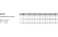 50 Stück, DIN 479 8.8 Vierkantschrauben mit Kernansatz - Abmessung: M 10 x 30