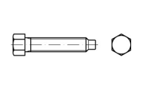 DIN 561 22 H (8.8) Sechskantschrauben mit Zapfen und kleinem Sechskant, mit Gewindeauslauf - Abmessung: BM 30 x 80, Inhalt: 10 Stück