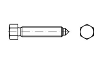 DIN 564 22 H (8.8) Ri Sechskantschrauben mit Ansatzspitze und kleinem Sechskant, mit Rille - Abmessung: AM 20 x 100, Inhalt: 10 Stück