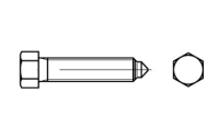 DIN 564 22 H (8.8) Sechskantschrauben mit Auslauf, Ansatzspitze und kleinem Sechskant - Abmessung: BM 24 x 100, Inhalt: 10 Stück