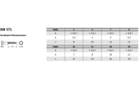 50 Stück, DIN 571 A 4 Sechskant-Holzschrauben - Abmessung: 12 x 70