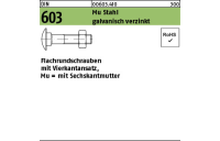 500 Stück, DIN 603 Mu Stahl galvanisch verzinkt Flachrundschrauben mit Vierkantansatz Mu = mit Sechskantmutter - Abmessung: M 5 x 16