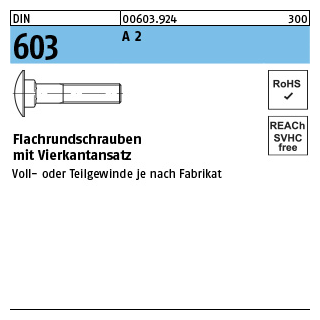 100 Stück, DIN 603 A 2 Flachrundschrauben mit Vierkantansatz - Abmessung: M 5 x 16