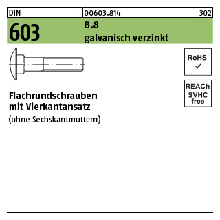 500 Stück, DIN 603 8.8 galvanisch verzinkt Flachrundschrauben mit Vierkantansatz - Abmessung: M 6 x 10