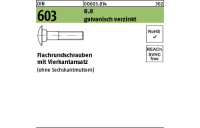 500 Stück, DIN 603 8.8 galvanisch verzinkt Flachrundschrauben mit Vierkantansatz - Abmessung: M 6 x 16