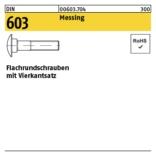 100 Stück, DIN 603 Messing Flachrundschrauben mit Vierkantansatz - Abmessung: M 6 x 20