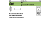 200 Stück, DIN 603 8.8 galvanisch verzinkt Flachrundschrauben mit Vierkantansatz - Abmessung: M 8 x 35
