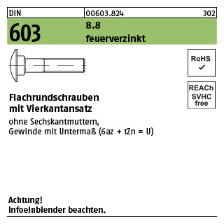 100 Stück, DIN 603 8.8 feuerverzinkt Flachrundschrauben mit Vierkantansatz - Abmessung: M 10 x 25