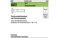 100 Stück, DIN 603 8.8 feuerverzinkt Flachrundschrauben mit Vierkantansatz - Abmessung: M 10 x 30