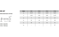 200 Stück, DIN 607 Mu Stahl Halbrundschrauben mit Nase, mit Sechskantmutter - Abmessung: M 8 x 40