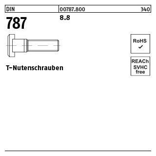 25 Stück, DIN 787 8.8 T-Nutenschrauben - Abmessung: 8 M 8 x 40