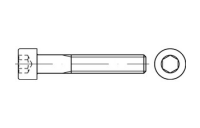 500 Stück, DIN 912 12.9 flZn/TL 480h Zylinderschrauben mit Innensechskant - Abmessung: M 6 x 12