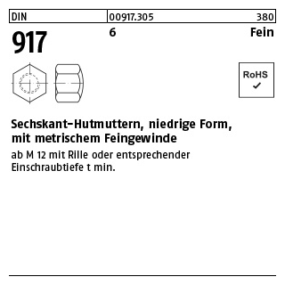 100 Stück, DIN 917 6 Fein Sechskant-Hutmuttern, niedrige Form, mit metrischem Feingewinde - Abmessung: M 10 x 1 SW 17