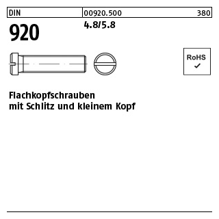 100 Stück, DIN 920 4.8/5.8 Flachkopfschrauben mit Schlitz und kleinem Kopf - Abmessung: M 3 x 5