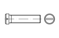 100 Stück, DIN 920 4.8/5.8 Flachkopfschrauben mit Schlitz und kleinem Kopf - Abmessung: M 5 x 10