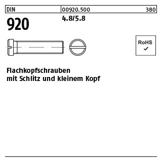 100 Stück, DIN 920 4.8/5.8 Flachkopfschrauben mit Schlitz und kleinem Kopf - Abmessung: M 5 x 16