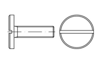 100 Stück, DIN 921 4.8/5.8 Flachkopfschrauben mit Schlitz und großem Kopf, pressblank - Abmessung: M 3 x 4