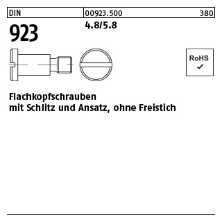 100 Stück, DIN 923 4.8/5.8 Flachkopfschrauben mit Schlitz und Ansatz, ohne Freistich - Abmessung: M 3 x 2 x 4,5