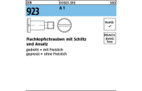 100 Stück, DIN 923 A 1 Flachkopfschrauben mit Schlitz und Ansatz - Abmessung: M 3 x 4 x 4,5