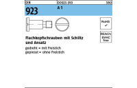 100 Stück, DIN 923 A 1 Flachkopfschrauben mit Schlitz und Ansatz - Abmessung: M 5 x16 x 7,0