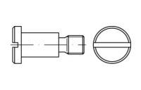 100 Stück, DIN 923 4.8/5.8 galvanisch verzinkt Flachkopfschrauben mit Schlitz und Ansatz, ohne Freistich - Abmessung: M 8 x 8 x11,0