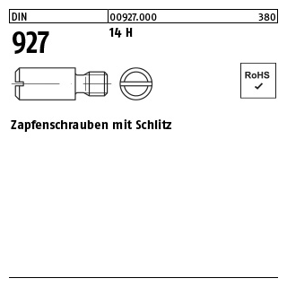 100 Stück, DIN 927 14 H Zapfenschrauben mit Schlitz - Abmessung: M 3 x 3