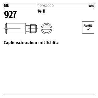 100 Stück, DIN 927 14 H Zapfenschrauben mit Schlitz - Abmessung: M 4 x 8