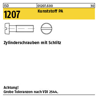 200 Stück, ISO 1207 Kunststoff PA Zylinderschrauben mit Schlitz - Abmessung: M 2,5 x 6