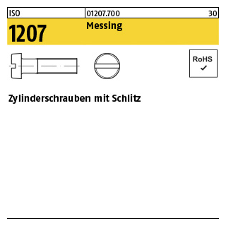 200 Stück, ISO 1207 Messing Zylinderschrauben mit Schlitz - Abmessung: M 5 x 25