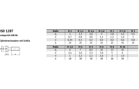 100 Stück, ISO 1207 A 2 Zylinderschrauben mit Schlitz - Abmessung: M 8 x 30