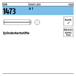 100 Stück, DIN 1473 A 1 Zylinderkerbstifte - Abmessung: 5 x 10