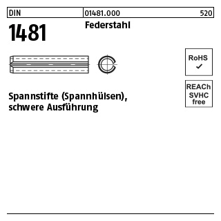 200 Stück, DIN 1481 Federstahl Spannstifte (Spannhülsen), schwere Ausführung - Abmessung: 1 x 16