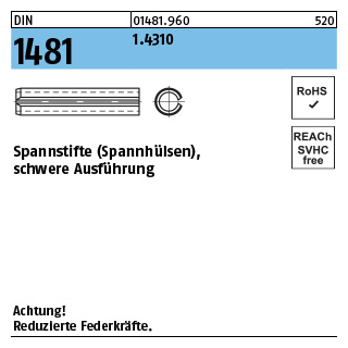 100 Stück, DIN 1481 1.4310 Spannstifte (Spannhülsen), schwere Ausführung - Abmessung: 2 x 10