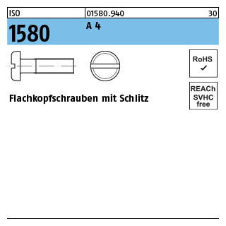 1000 Stück, ISO 1580 A 4 Flachkopfschrauben mit Schlitz - Abmessung: M 2,5 x 3