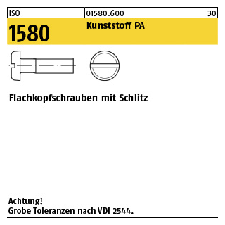 200 Stück, ISO 1580 Kunststoff PA Flachkopfschrauben mit Schlitz - Abmessung: M 3 x 6