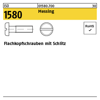 200 Stück, ISO 1580 Messing Flachkopfschrauben mit Schlitz - Abmessung: M 3 x 6