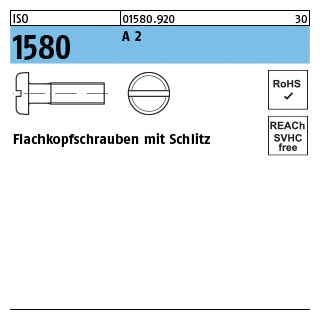 500 Stück, ISO 1580 A 2 Flachkopfschrauben mit Schlitz - Abmessung: M 5 x 6