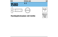 500 Stück, ISO 1580 A 2 Flachkopfschrauben mit Schlitz - Abmessung: M 5 x 6