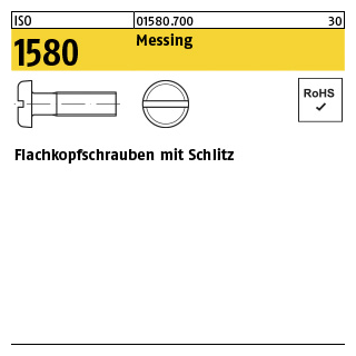 200 Stück, ISO 1580 Messing Flachkopfschrauben mit Schlitz - Abmessung: M 6 x 10